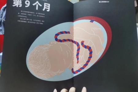 揭秘出生人的命运与生活轨迹