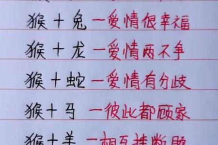 猴子生肖与哪些属相最能和谐相处