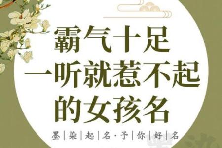 用“佳”字为女孩命名的五个理由