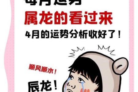 金龙命的人生运势如何影响未来