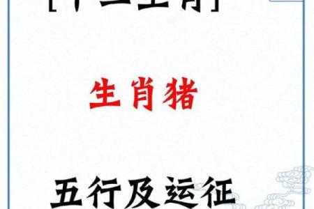 属猪本命年如何调整心态迎接挑战