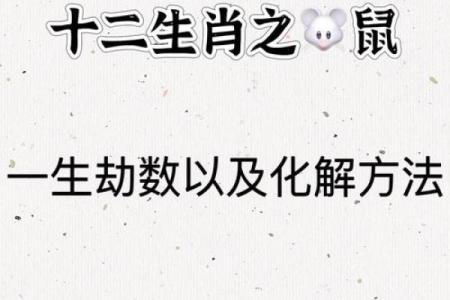 火鼠之命：命理中的火与鼠的独特组合