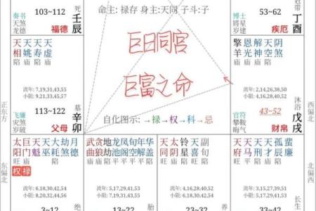 揭秘化禄入命在八字命理中的独特作用