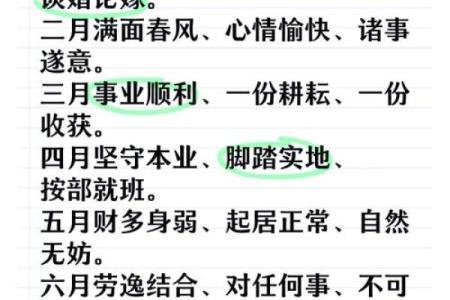 属羊人本命年需要特别注意哪些禁忌