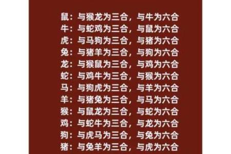鸡猴配对的婚姻建议与相处之道