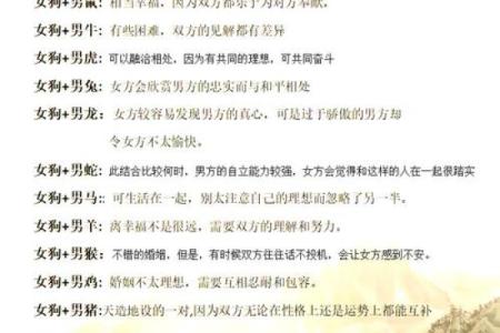 属龙和属狗的配对：适合的爱情还是难以平衡的婚姻