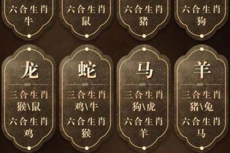 本命年马男与其他生肖的相合与相克