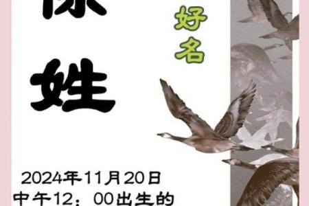 如何为徐姓宝宝起个寓意深远的名字