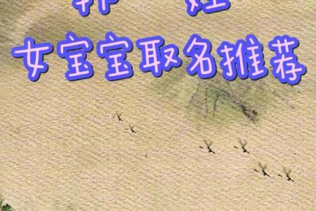 如何为韩国男孩取一个寓意深远的名字
