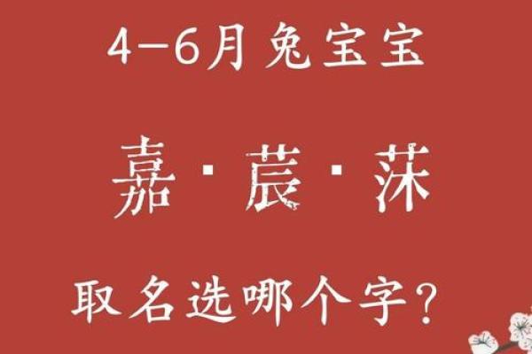 兔男和狗女配吗 性格差异与婚姻匹配度分析