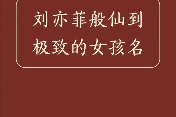 最受欢迎的大气女生名字，气质与品位并存