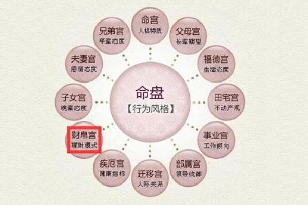 揭秘紫薇星入命的深层含义