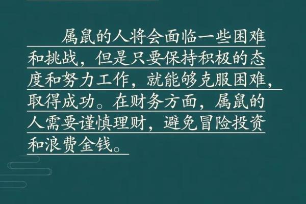 属鼠人本命年如何把握机会 属鼠人本命年如何把握机会