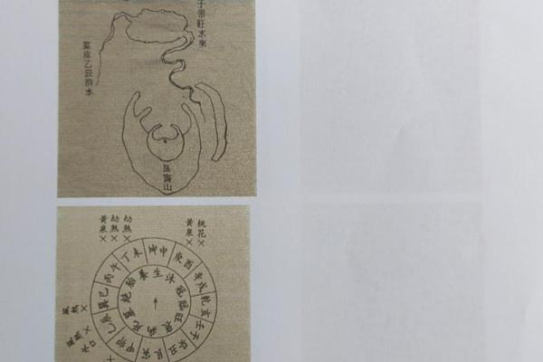 水木相配的原理与实践意义