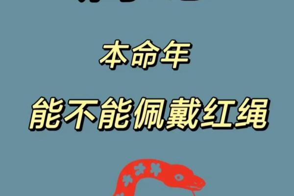 属蛇人在本命年如何改善职业发展路径 属蛇人在本命年如何改善职业发展路径