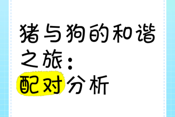 狗与鼠的爱情契合度探讨