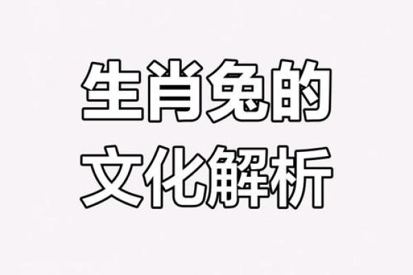 兔与哪些生肖最为相配，带你揭秘最佳配对组合