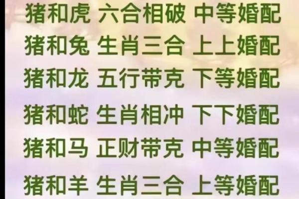 龙与龙的配对是否能带来完美的结合