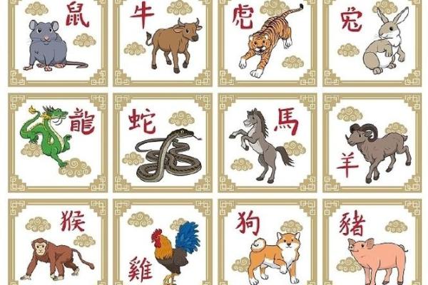 鼠鸡组合：天生互补还是难以相容？