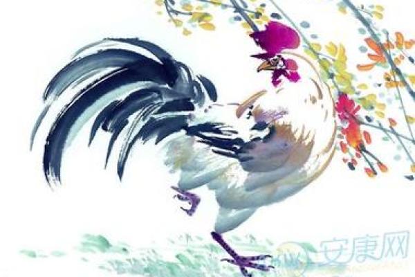 金鸡命与事业发展:如何把握机遇 金鸡命与事业发展:如何把握机遇
