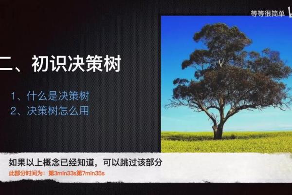 解读权威之命对决策与权力结构的影响