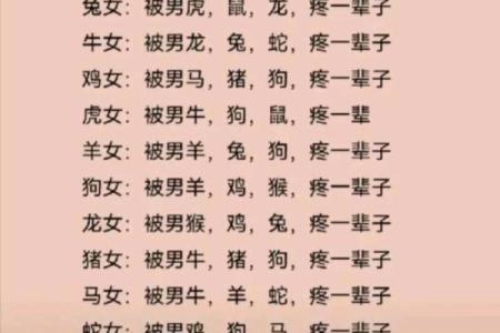 男龙女狗的性格碰撞与婚姻前景