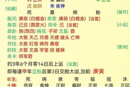 生辰八字解析运势，财运、爱情、事业全掌握！