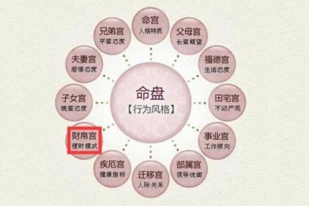 揭秘紫薇星入命的深层含义