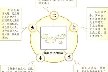 金命的五行属性解析及其影响因素