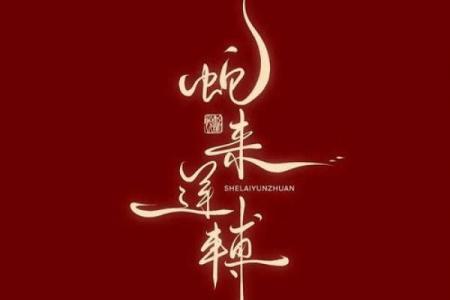 本命年属羊人如何在情感上迎接新开始