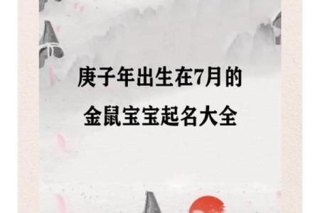 属鼠男孩命名指南：选一个带来好运的名字