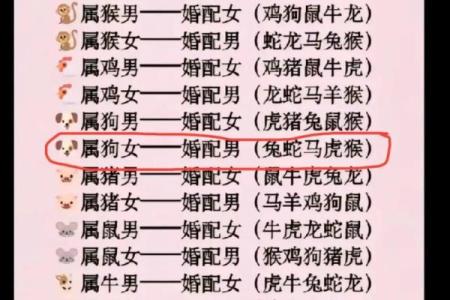 属鸡和属猪的爱情运势如何