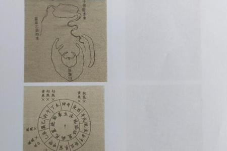 水木相配的原理与实践意义