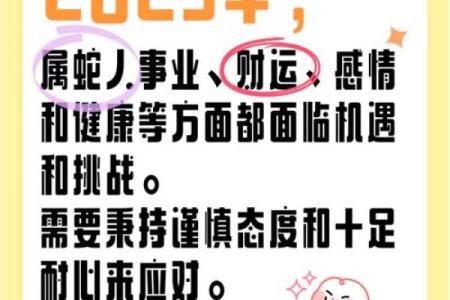 属蛇人在本命年如何改善职业发展路径