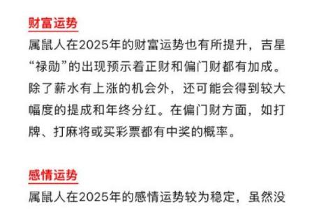 本命年鼠女如何追求事业突破