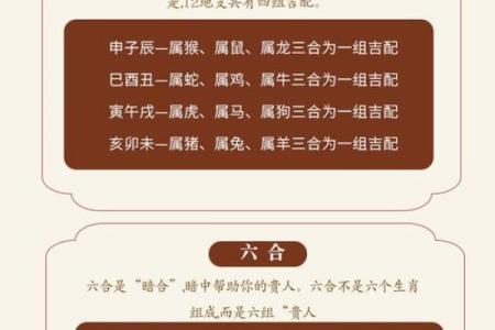 属马人的本命年如何管理财务状况