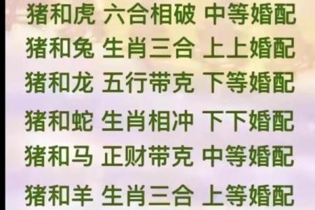 龙与龙的配对是否能带来完美的结合