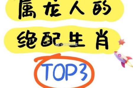 鼠鸡组合：天生互补还是难以相容？
