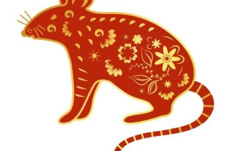 属鼠人本命年如何度过低谷期