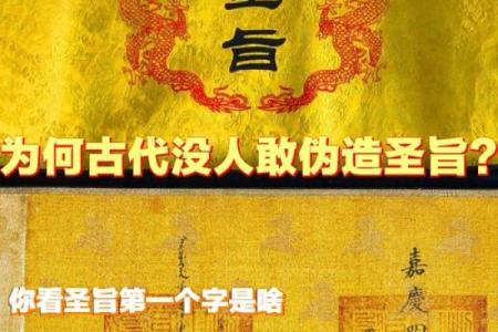 解读权威之命对决策与权力结构的影响