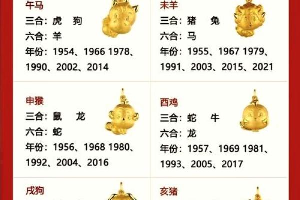 马和哪些生肖最合拍，探索和谐搭配的奥秘