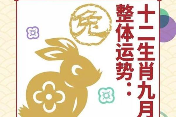 属兔人本命年适合参加哪些活动 属兔人本命年适合参加哪些活动