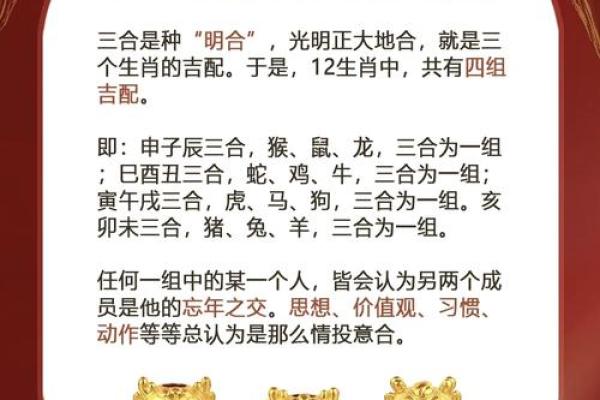 鸡鼠婚配:相互补充的默契与挑战 鸡鼠婚配:相互补充的默契与挑战