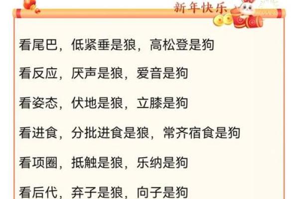 牛与狗能否成为理想搭配?探讨它们的性格与关系 牛与狗能否成为理想搭配?探讨它们的性格与关系