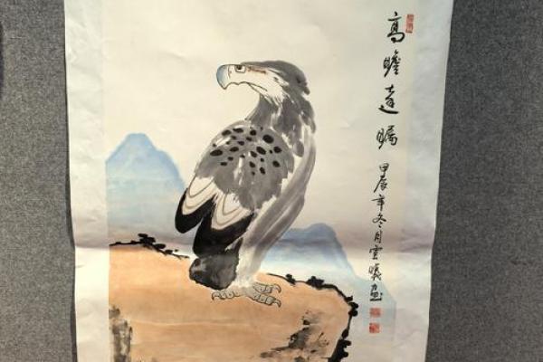 探索鹰的名字与自然的联系