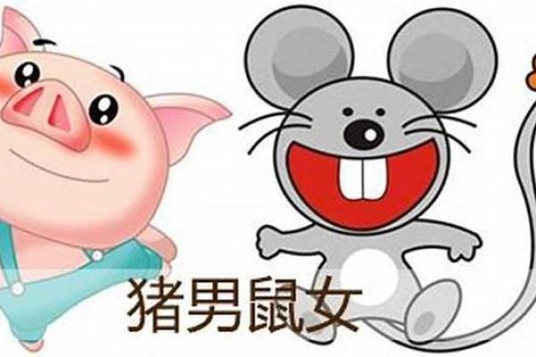 男鼠女马婚姻能走多远?性格与命运的碰撞 男鼠女马婚姻能走多远?性格与命运的碰撞