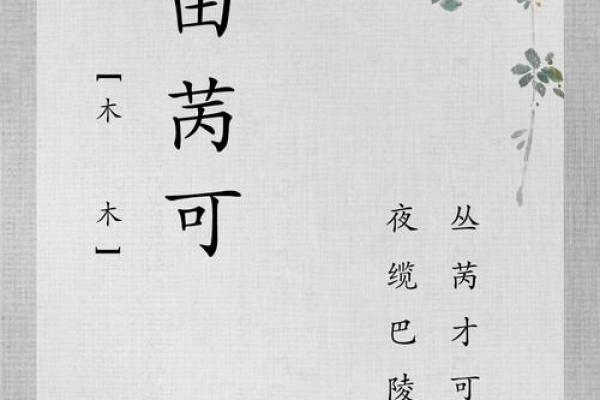 田姓女孩名字大全，给宝宝取个美丽的名字