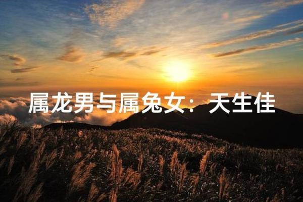 男兔女龙在一起合适吗？从生肖角度分析配对优势与挑战
