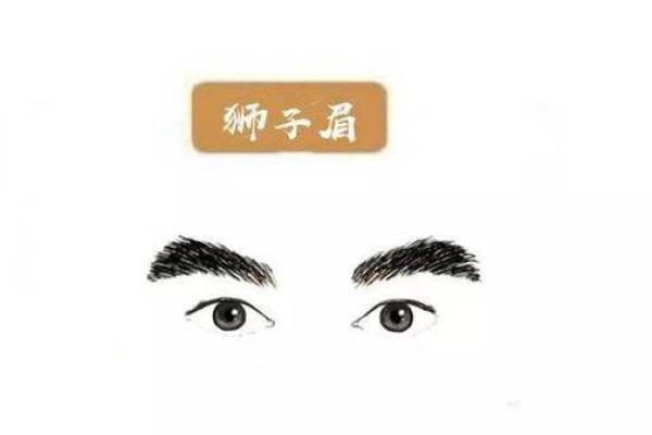 剑尖金命的独特含义与命运解析