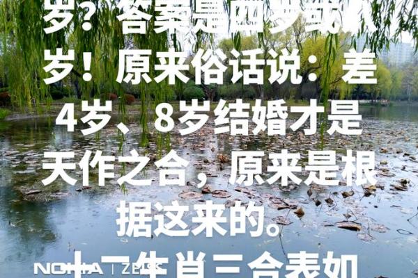 属马和属牛的婚姻幸福指数:真的是天作之合吗? 属马和属牛的婚姻幸福指数:真的是天作之合吗?